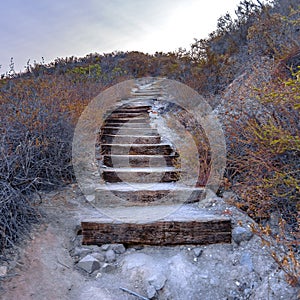 Curving wooden stairs in Monserate Mountain CA