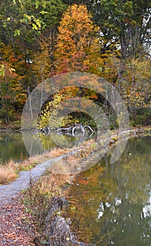 Curving Woodland Trail in Steele Creek Park