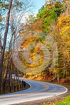 Curvy autumn road