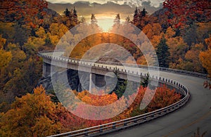 Curvy autumn road