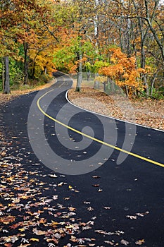 Curvy Blacktop Road photo