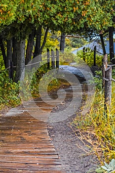 Curvy Boardwalk Walking Path, Kohler-Andrae State Park