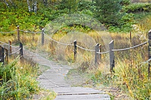 Curvy Boardwalk Walking Path, Kohler-Andrae State Park