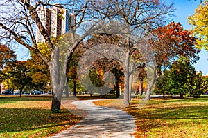 Curvy Colorful Walkway in Lincoln Park Chicago during Autumn