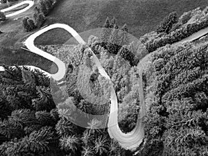 Curvy country road in the alpine mountain forest from above