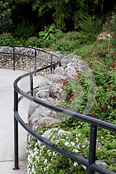 Curvy garden path with lush plants and flowers