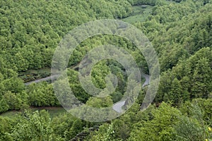Curvy mountain road among green forests