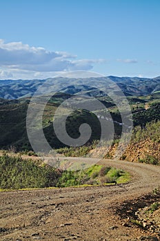 Curvy mountain roads