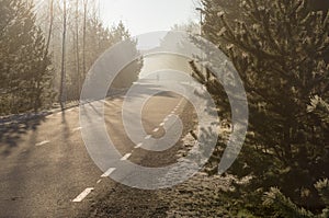 Curvy pedestrian lane with man silhouette on fog morning