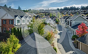 Curvy Residential Road in Issaquah, Wa photo
