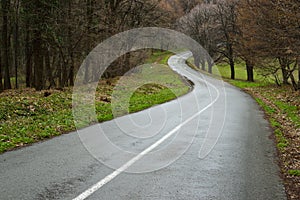 Curvy road