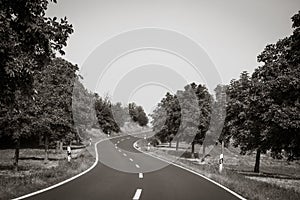 Curvy road