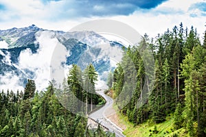 Curvy Road In Alpine Mountains
