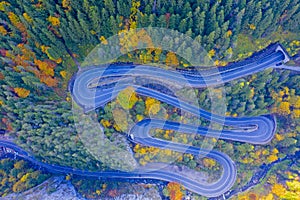 Curvy road in autumn forest