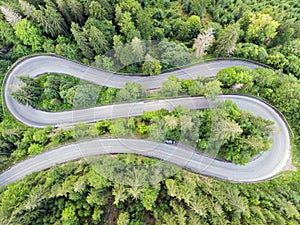 Curvy road in forest