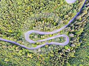 Curvy road in green forest