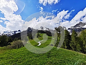 Curvy road through green mountain pastures with mounatintops in backgroung