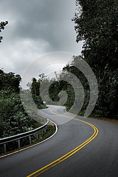 Curvy road in the middle of the rain forest