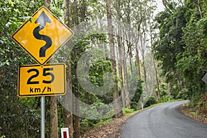 Curvy Road Sign