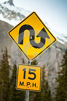 Curvy road sign