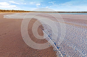 Curvy salt deposits on the beach of pink salt Lake Kenyon