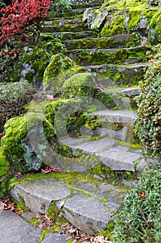 Curvy stone staricase