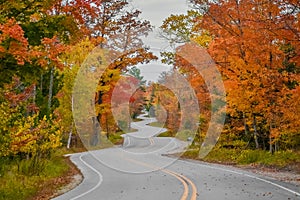 Curvy, Winding Fall Road in Autumn