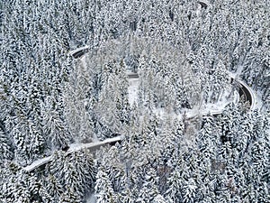 Curvy windy road in snow covered forest