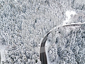 Curvy windy road in snow covered forest