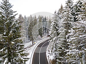 Curvy windy road in snow covered forest