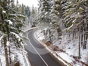 Curvy windy road in snow covered forest