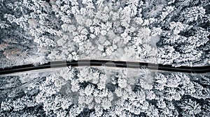 Curvy windy road in snow covered forest, top down aerial view