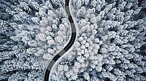 Curvy windy road in snow covered forest, top down aerial view