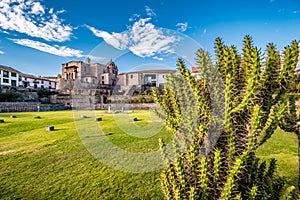 Cusco Sacred Garden with Iglesia de Santo Domingo church and Coricancha museum in background, Cusco, Peru, South america