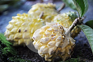 Custard apple