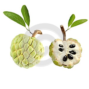 Custard apple photo