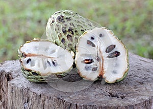 Custard Apple