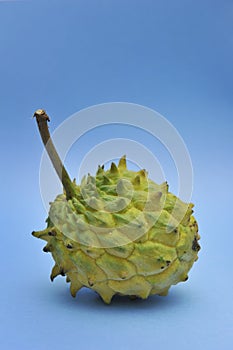 Custard apple fruit photo