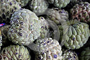 Custard apple (Fruta-do-conde) photo