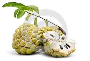 Custard Apple Isolated photo