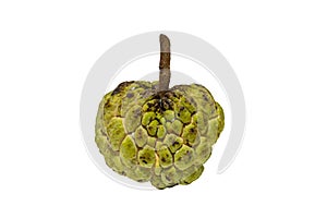 Custard apple isolated on white