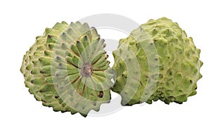 Custard apple isolated on white background,annona