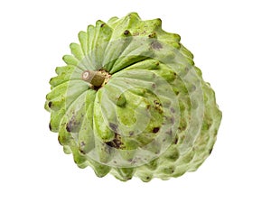Custard apple