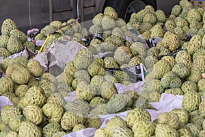 Custard apple stock photo in the fresh market.