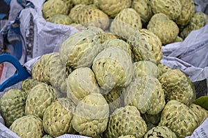 Custard apple stock photo in the fresh market.