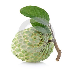 Custardapple on white background