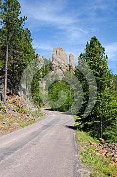 Custer State Park, Black Hills, South Dakota, USA