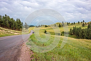 Custer State Park, Custer, SD