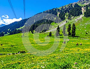 Jammu & Kashmir â Paradise on Earth