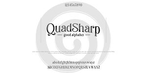 Custom font bundle script serif. Alphaber vector illustration